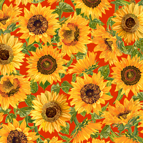 MINKY PRINTS             